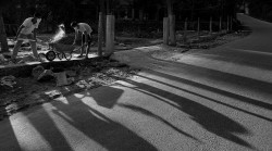 Shadow Work