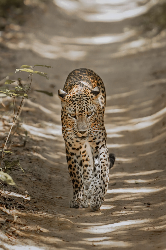 Silent attack