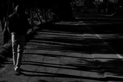 Shadow Walker
