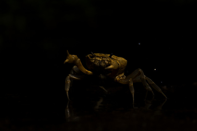 Attacking in Darkness