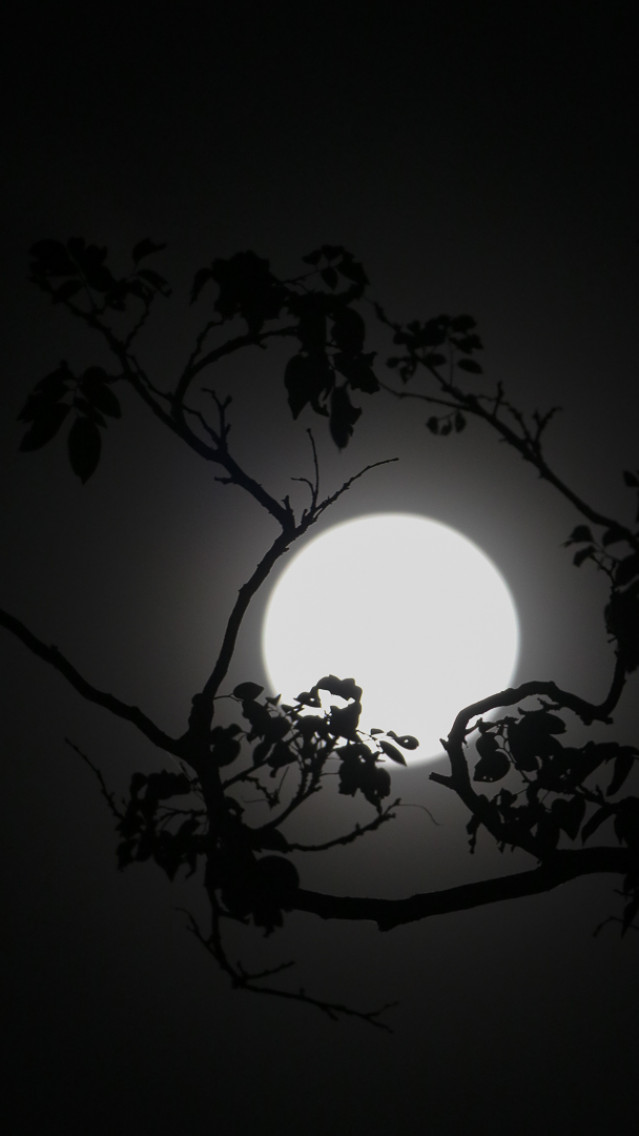 Penetrate Darkness