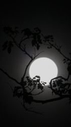 Penetrate Darkness