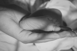 Infant photography
