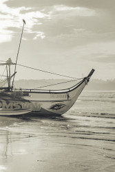 Weligama bay