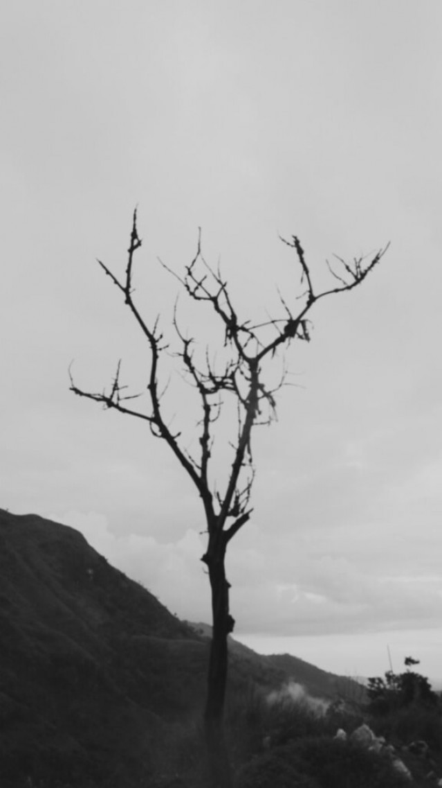 Resilience Tree
