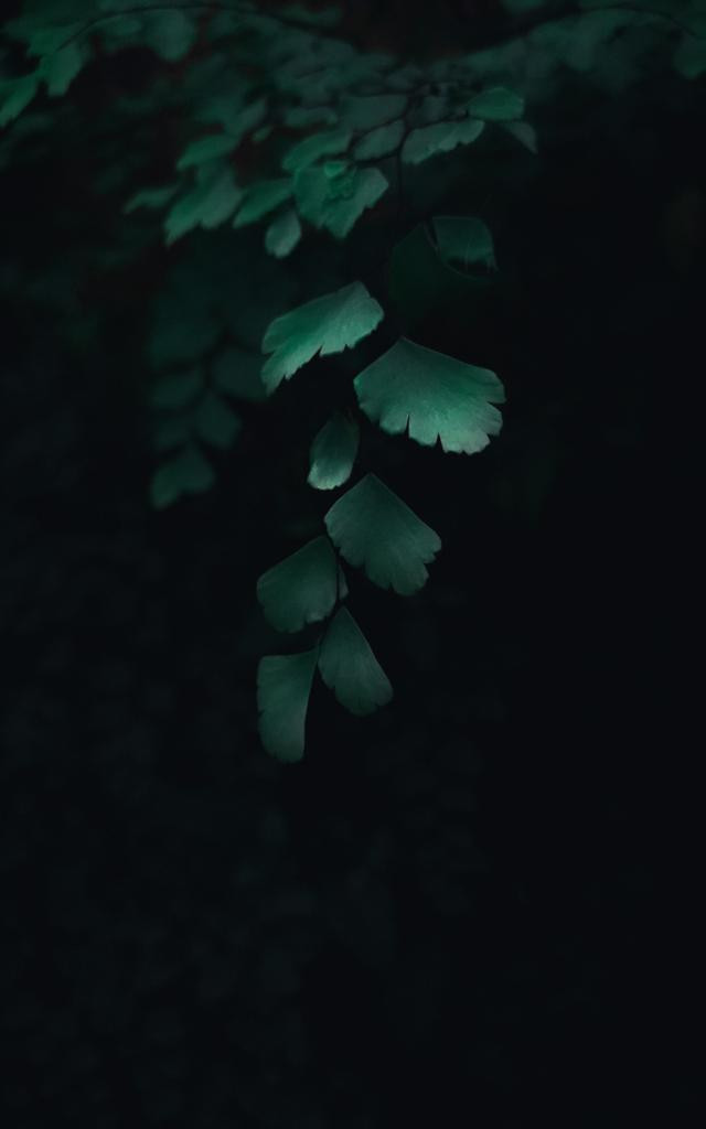 Tiny leaves