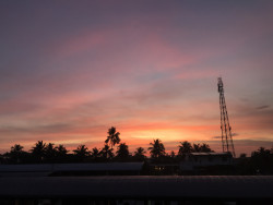 Sun Rise