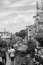 Urbanization