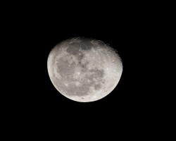 Moon
