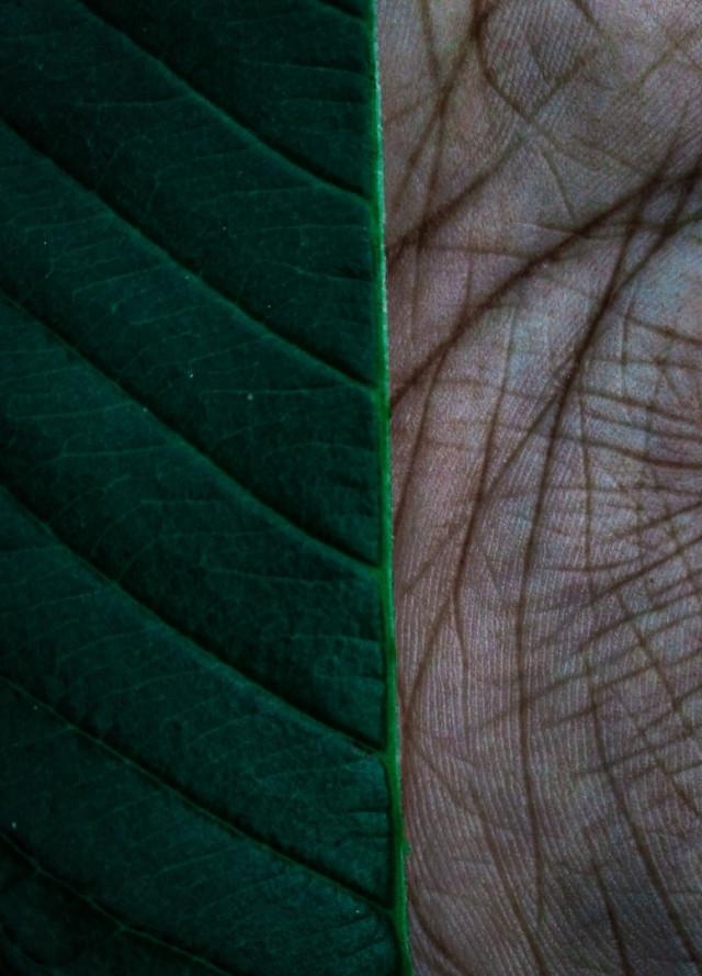 ස්වබාදහම හා බැඳුන මිනිසා
