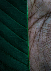 ස්වබාදහම හා බැඳුන මිනිසා
