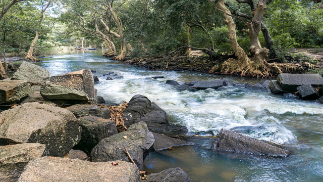 the river