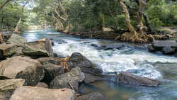the river