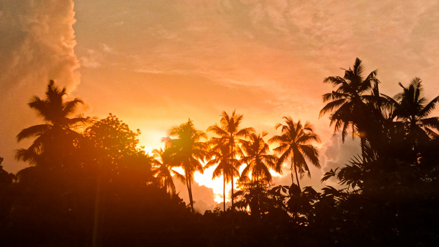 Evening sky