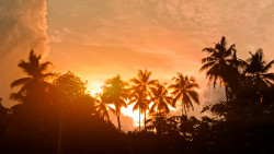 Evening sky