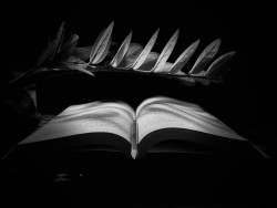 Books for life