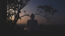 Evening With Load Buddha