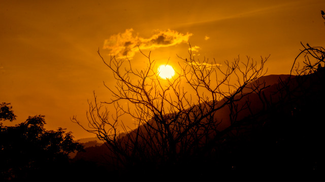 Sunrise