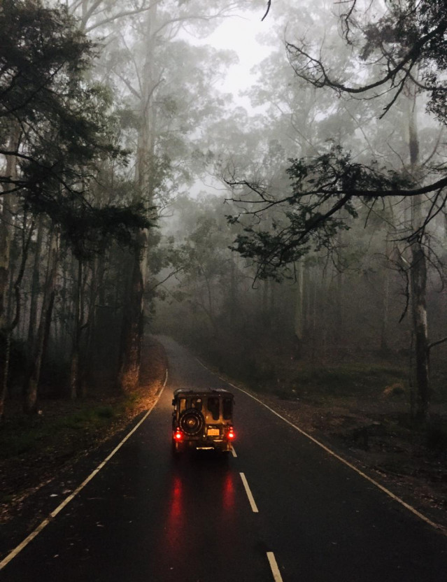 Breaking the Mist