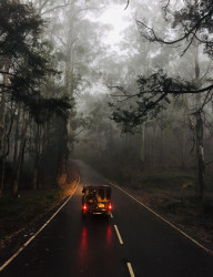 Breaking the Mist