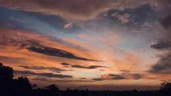Evening