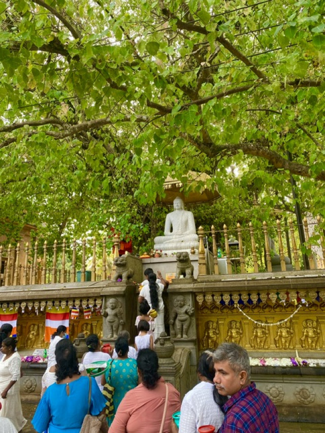 Asathu Bodhi