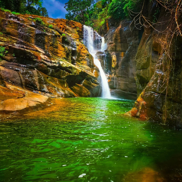 Hill country of Sri