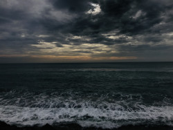 The Ocean