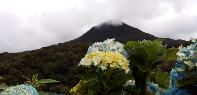 Nature
