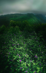 Green world