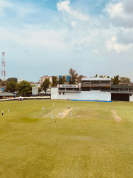 Cricket
