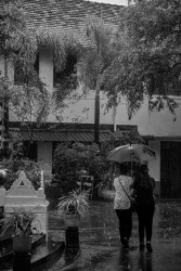 Protecting her daughter from the harsh raindrops