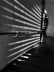 Spot Lights