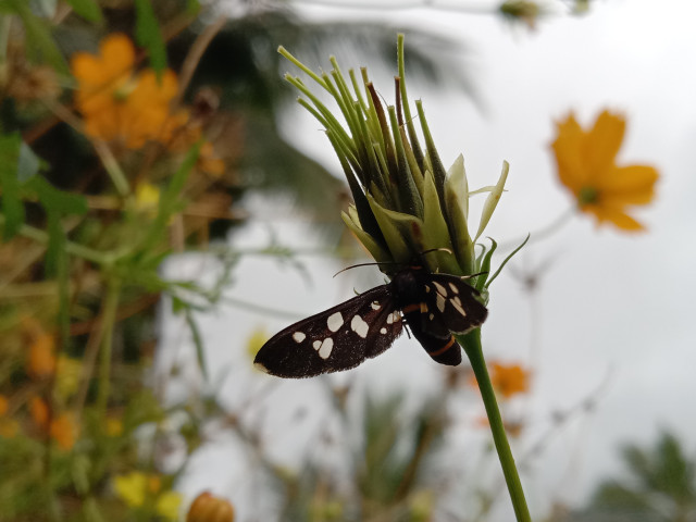 The wonder of the Nature