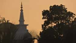 Temple