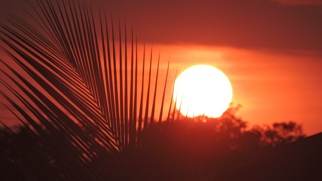 Sun set