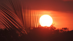 Sun set