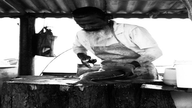 Cutting Fish