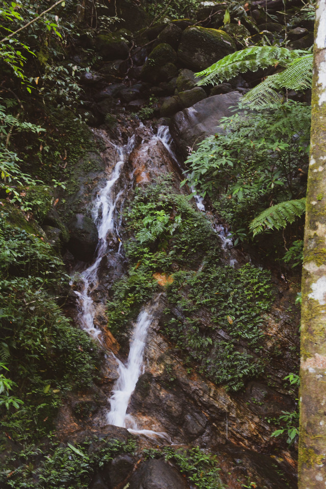 The Flow Of Nature