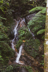 The Flow Of Nature