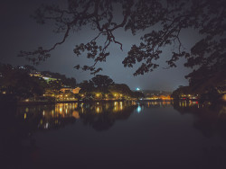 night