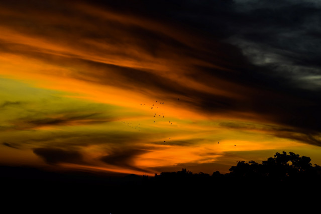 morning skyscape photography