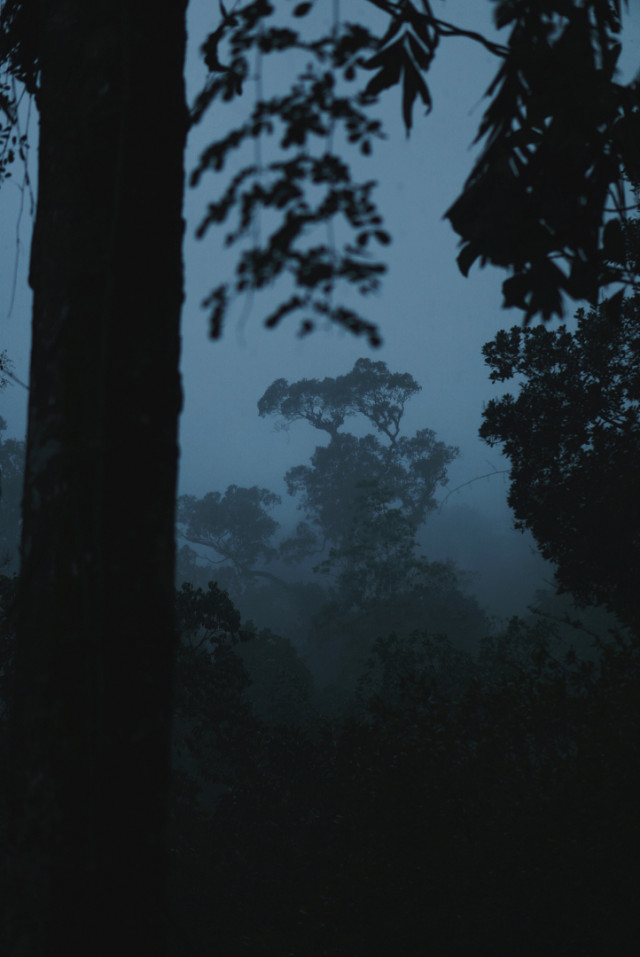A Silent Morning in Blue