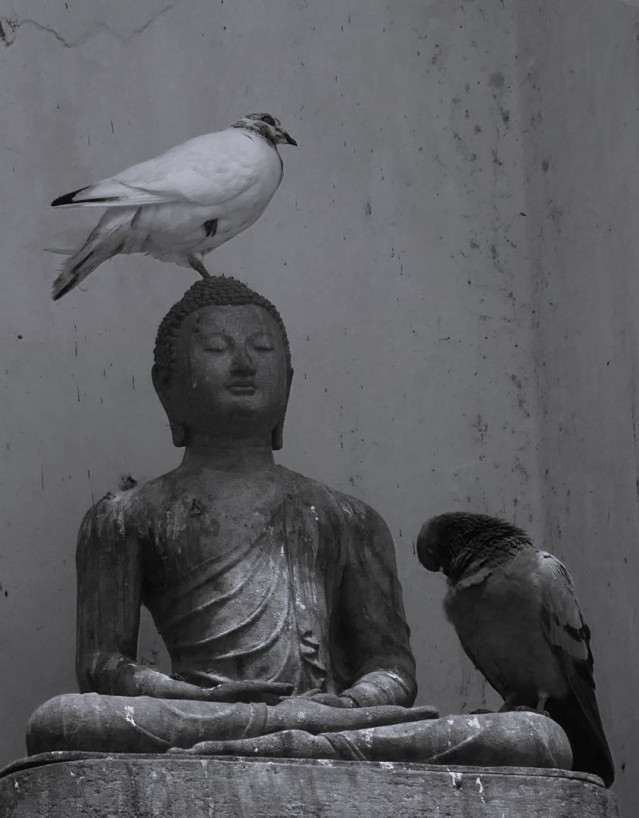 A place which heals millions of minds and share to another thousands of lives