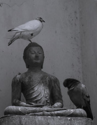 A place which heals millions of minds and share to another thousands of lives