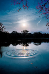 Wonder lake