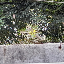 සොබාදහම