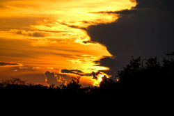 Evening Sky