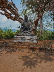 Buddha