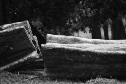 Wood
